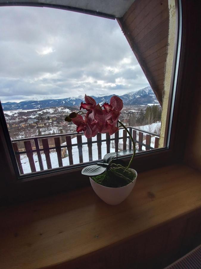 Niebianska Gran Zakopane